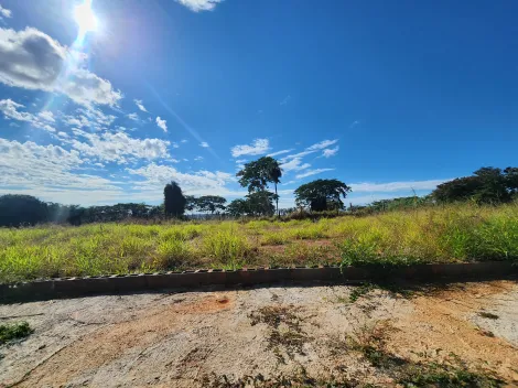 Alugar Terreno / Padrão em São José do Rio Preto. apenas R$ 82.700,00