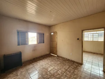 Alugar Casa / Padrão em São José do Rio Preto R$ 770,00 - Foto 4