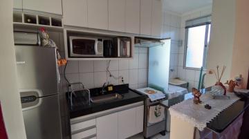 Alugar Apartamento / Padrão em São José do Rio Preto. apenas R$ 185.000,00