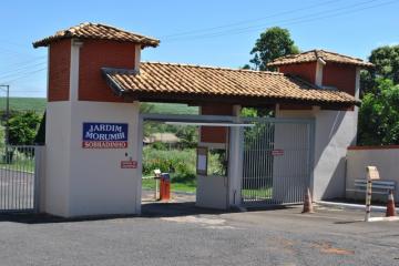 Comprar Rural / Chácara em Adolfo R$ 315.000,00 - Foto 11