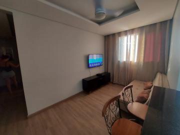 Alugar Apartamento / Padrão em São José do Rio Preto apenas R$ 800,00 - Foto 4