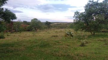 Alugar Rural / Sítio em São José do Rio Preto. apenas R$ 1.300.000,00