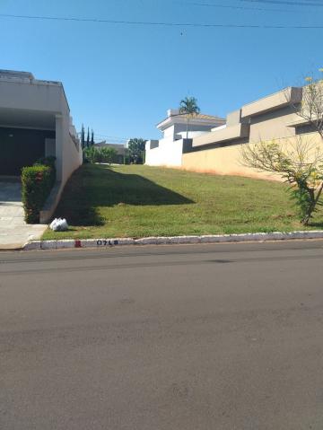 Comprar Terreno / Condomínio em São José do Rio Preto apenas R$ 412.000,00 - Foto 4