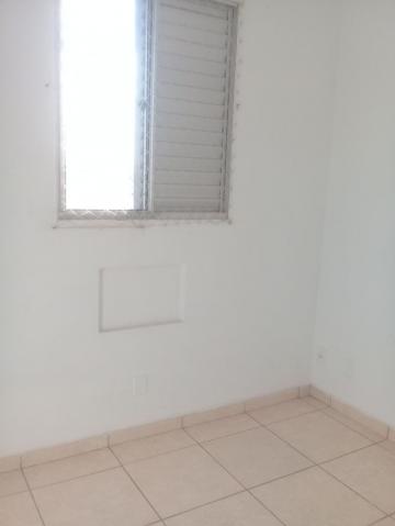 Alugar Apartamento / Padrão em São José do Rio Preto. apenas R$ 850,00