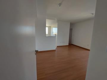 imagem 4 - Unique Rio preto - Apartamento Locação imagem 4 - Unique Rio preto - Apartamento Locação