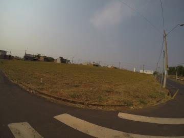 imagem 3 - Terreno - Padrão imagem 3 - Terreno - Padrão