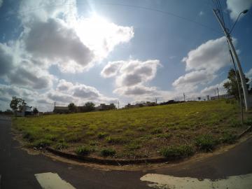 imagem 2 - Terreno - Padrão imagem 2 - Terreno - Padrão