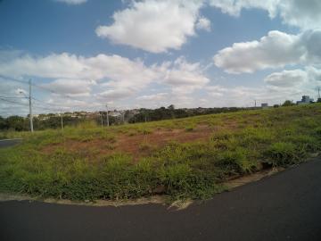 imagem 4 - Terreno - Padrão imagem 4 - Terreno - Padrão