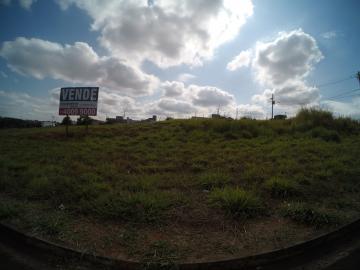 imagem 1 - Terreno - Padrão imagem 1 - Terreno - Padrão