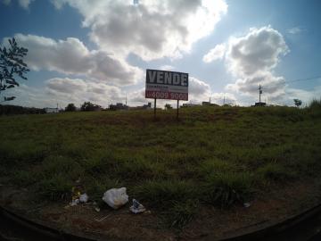imagem 1 - Terreno - Padrão imagem 1 - Terreno - Padrão
