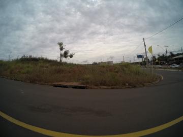 imagem 2 - Terreno - Padrão imagem 2 - Terreno - Padrão