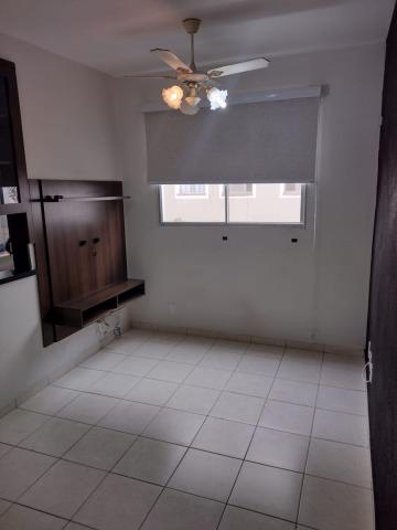 Comprar Apartamento / Padrão em São José do Rio Preto R$ 195.000,00 - Foto 1