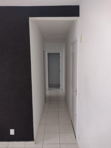 Comprar Apartamento / Padrão em São José do Rio Preto apenas R$ 195.000,00 - Foto 4