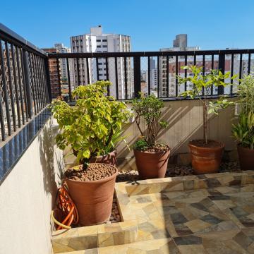 Comprar Apartamento / Cobertura em São José do Rio Preto R$ 360.000,00 - Foto 3