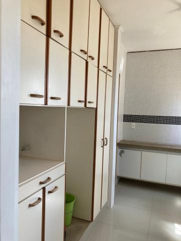 Alugar Apartamento / Cobertura em São José do Rio Preto R$ 3.500,00 - Foto 6