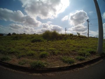 imagem 1 - Terreno - Padrão imagem 1 - Terreno - Padrão