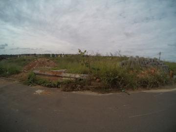 Terreno / Padrão em São José do Rio Preto 