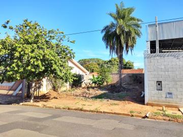 Comprar Terreno / Padrão em São José do Rio Preto R$ 220.000,00 - Foto 3