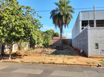 imagem 5 - Terreno - Padrão imagem 5 - Terreno - Padrão
