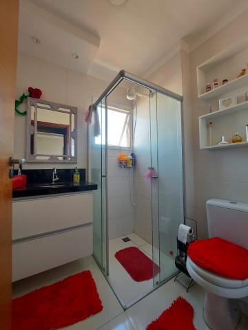 Alugar Apartamento / Padrão em São José do Rio Preto R$ 2.400,00 - Foto 8