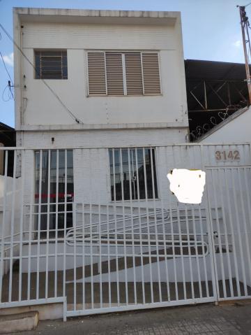 Comercial / Casa Comercial em São José do Rio Preto Alugar por R$2.000,00