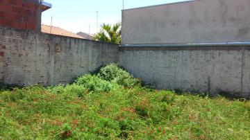 imagem 1 - Aroeira II - Casa em bom local, com 2 dorms, sendo 1 tipo apto, quintal imagem 1 - Aroeira II - Casa em bom local, com 2 dorms, sendo 1 tipo apto, quintal