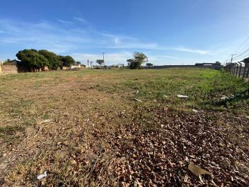 Alugar Terreno / Padrão em São José do Rio Preto.