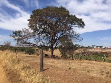 Comprar Terreno / Área em Guapiaçu apenas R$ 36.300.000,00 - Foto 5