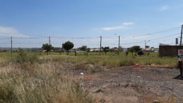 imagem 2 - Terreno - Padrão imagem 2 - Terreno - Padrão