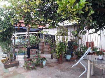 imagem 2 - Monte Verde - Casa Venda imagem 2 - Monte Verde - Casa Venda