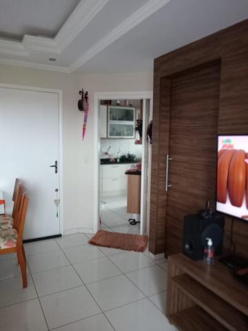 Comprar Apartamento / Padrão em São José do Rio Preto apenas R$ 230.000,00 - Foto 1