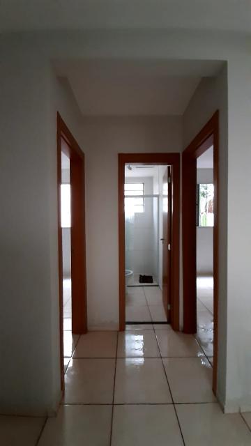 imagem 3 - Apartamento - Padrão imagem 3 - Apartamento - Padrão