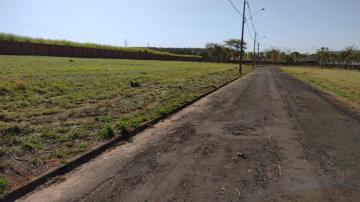 Comprar Terreno / Padrão em Guapiaçu R$ 105.000,00 - Foto 5