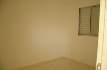 Alugar Apartamento / Padrão em São José do Rio Preto R$ 600,00 - Foto 10