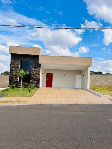 Alugar Casa / Condomínio em São José do Rio Preto. apenas R$ 550.000,00