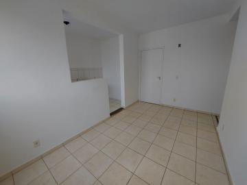 imagem 2 - Rio Candelaro - Apartamento Venda e Locação imagem 2 - Rio Candelaro - Apartamento Venda e Locação