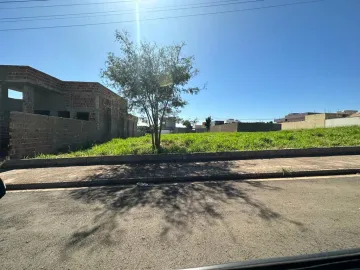 Terreno / Padrão em São José do Rio Preto 