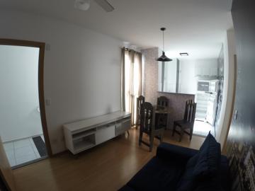 Alugar Apartamento / Padrão em São José do Rio Preto apenas R$ 1.050,00 - Foto 3