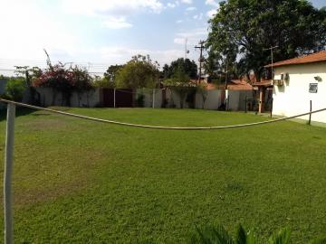 Alugar Rural / Chácara em São José do Rio Preto R$ 3.000,00 - Foto 21