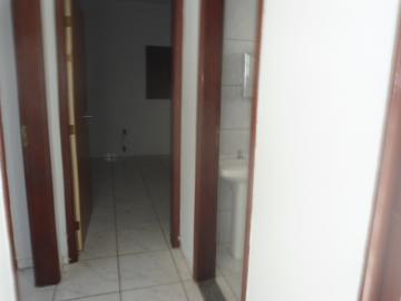 Alugar Casa / Padrão em São José do Rio Preto R$ 1.398,00 - Foto 14