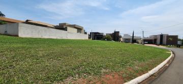 Comprar Terreno / Condomínio em São José do Rio Preto R$ 550.000,00 - Foto 2