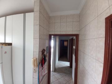 imagem 4 - Casa - Padrão imagem 4 - Casa - Padrão