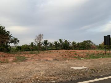 Mirassol Area Rural de Mirassol Area Locacao R$ 35.000,00  Area do terreno 5321.00m2 