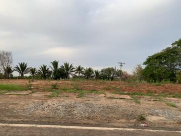 Comprar Terreno / Área em Mirassol - Foto 3