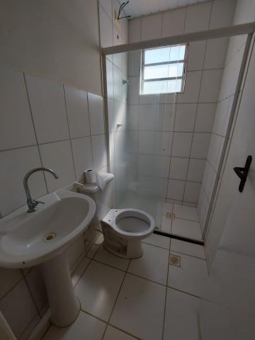 Alugar Apartamento / Padrão em São José do Rio Preto apenas R$ 650,00 - Foto 7