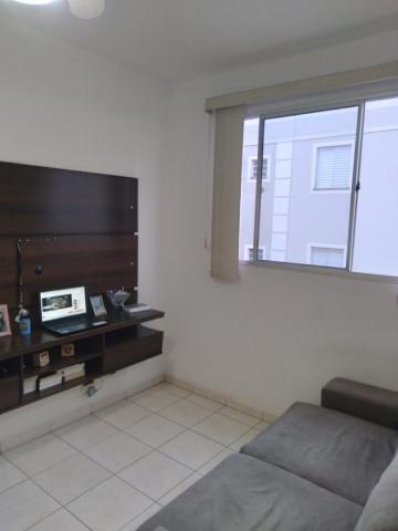 Comprar Apartamento / Padrão em São José do Rio Preto apenas R$ 210.000,00 - Foto 8