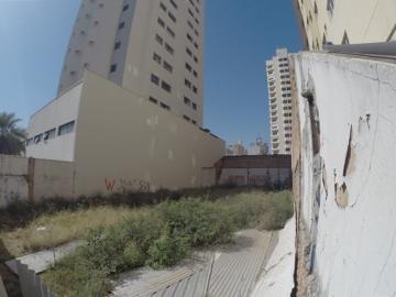 imagem 3 - Terreno Comercial Locação ou Venda - Avenida Bady Bassitt imagem 3 - Terreno Comercial Locação ou Venda - Avenida Bady Bassitt