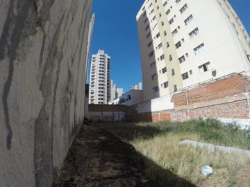 imagem 4 - Terreno Comercial Locação ou Venda - Avenida Bady Bassitt imagem 4 - Terreno Comercial Locação ou Venda - Avenida Bady Bassitt