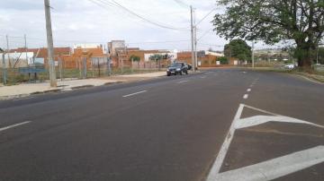 imagem 4 - Área remanescente em frente Rotatória do Bianco x Vista Bela, podendo vender a área inteira ou parte (30x24 metros = 720 m²) imagem 4 - Área remanescente em frente Rotatória do Bianco x Vista Bela, podendo vender a área inteira ou parte (30x24 metros = 720 m²)