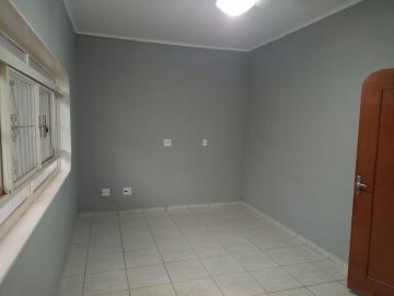 imagem 3 - Casa no Alto Rio preto 3 dorm imagem 3 - Casa no Alto Rio preto 3 dorm